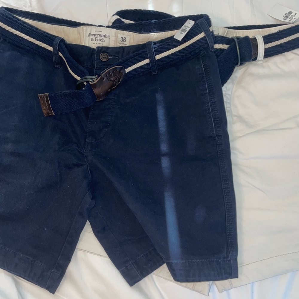 Abercrombie & Fitch Shorts | 36